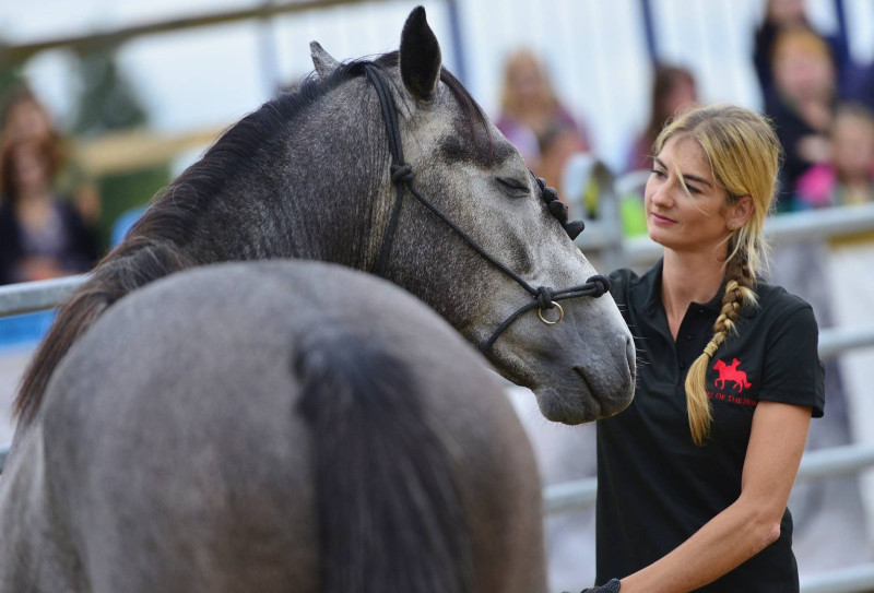 Talent Of The Horse: Young Horse Clinic Pre-School