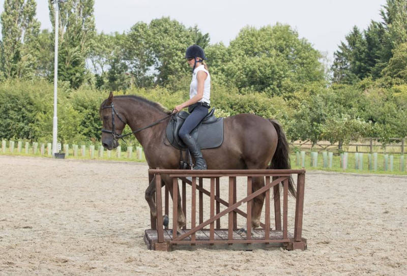 Talent Of The Horse: Obstacle Clinics